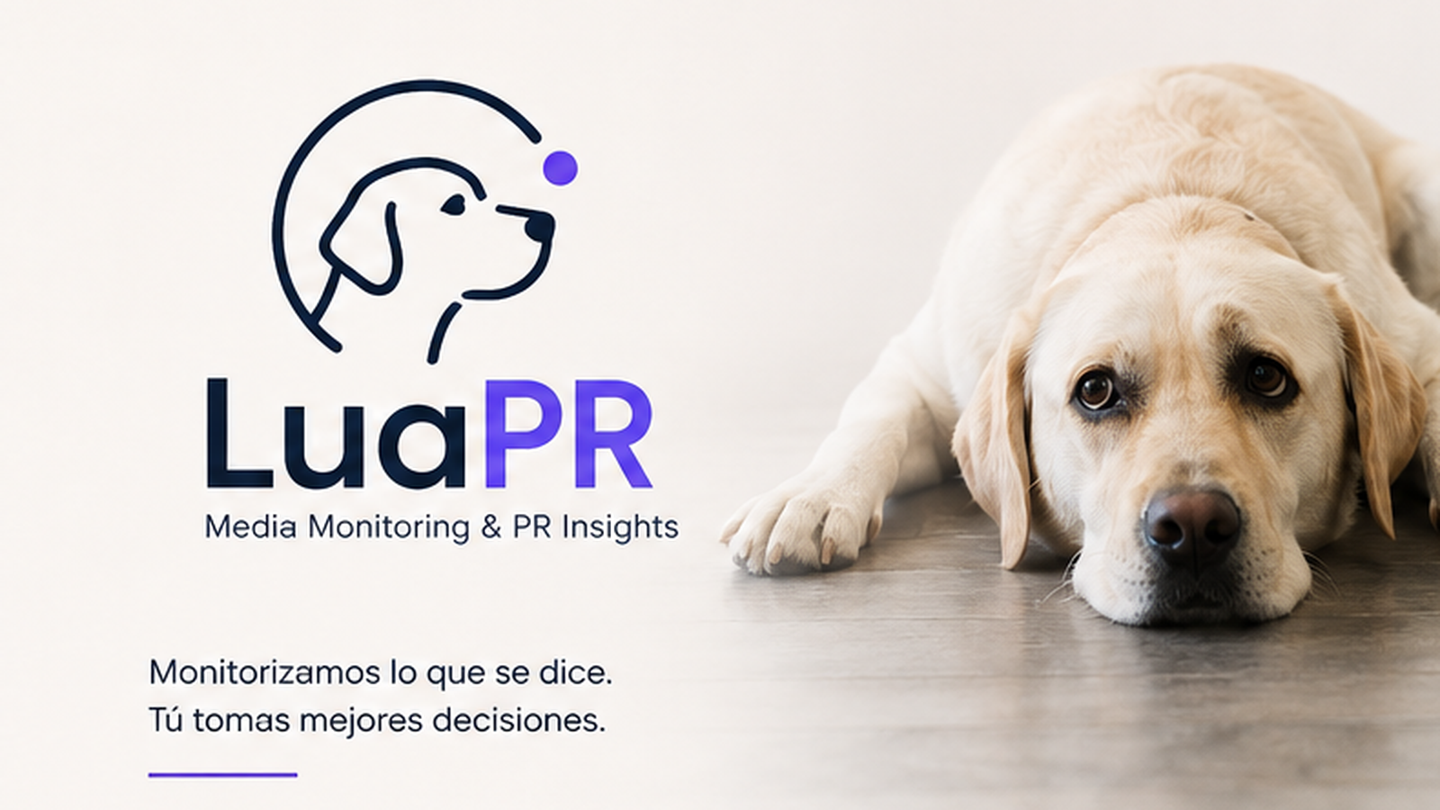 LuaPR, web monitoring and alerts for communications and PR